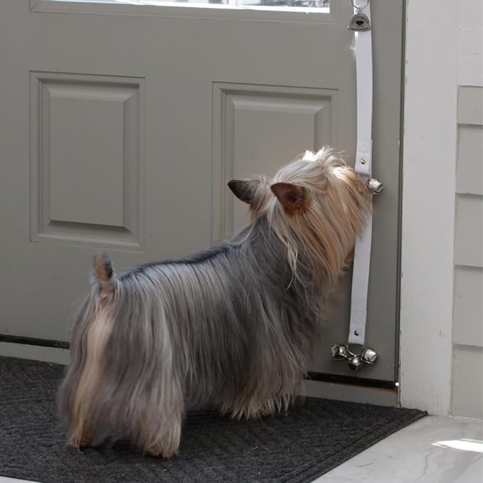 Caldwell's Pet Supply Co. Dog Potty Bells, Dog Door Bell, Bells to Go Outside, Potty Training Bell, Dogs Doorbell, Dogs Potty Doorbell, Ring to Go Pee, All Breed Puppy Training Tool