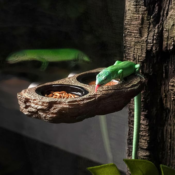 OIIBO Magnetic Reptile Feeder Ledge, Crested Gecko Feeding Ledge with 6PCS Food Cups Reptile Food Dish Water Bowl Tank Accessories for Bearded Dragon Chameleon Lizard Snake