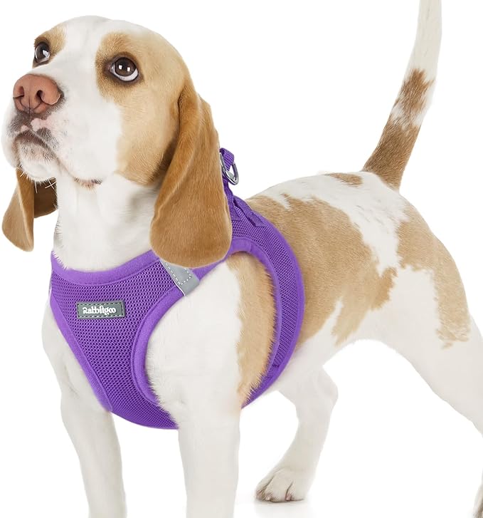 rabbitgoo Small Dog Harness, Step-in Soft Mesh Puppy Vest with Safety Buckle, Breathable Reflective Pet Harness for Small Sized Dogs, Purple M
