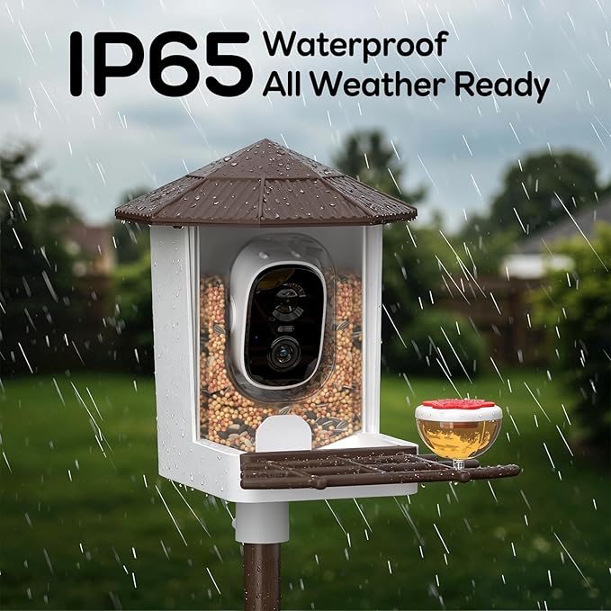 wansview Bird Feeder with Camera-Smart Bird Feeders for Outdoors Solar Powered, Birdhouse with Cam & Instant Alert, 2K Live Video, AI Identify Species, Ideal Gift for Tech Lovers, F1, Brown, 2.4G WiFi