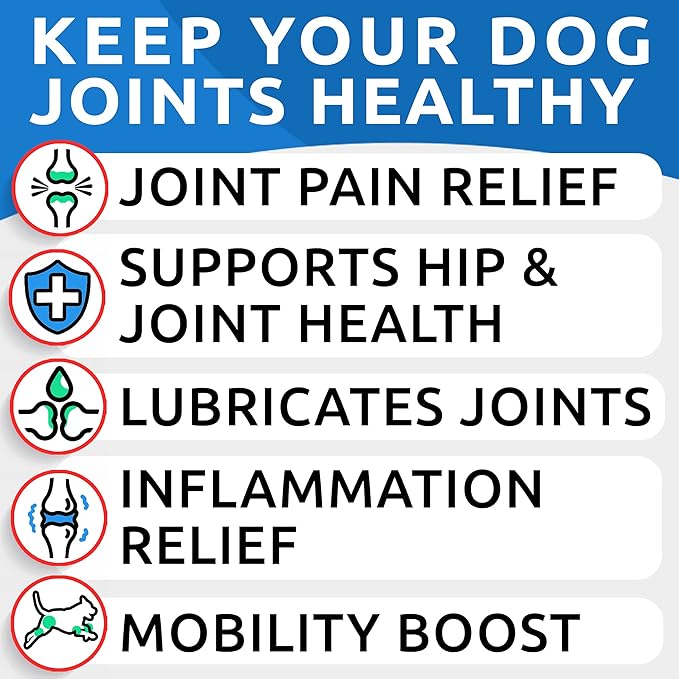 Glucosamine Chondroitin Dog Hip & Joint Supplement - Joint Pain Relief - Hip & Joint Chews for Dogs - Joint Support Large Breed - Senior Doggie Vitamin Pills Joint Health - (360 Treats - Chicken)