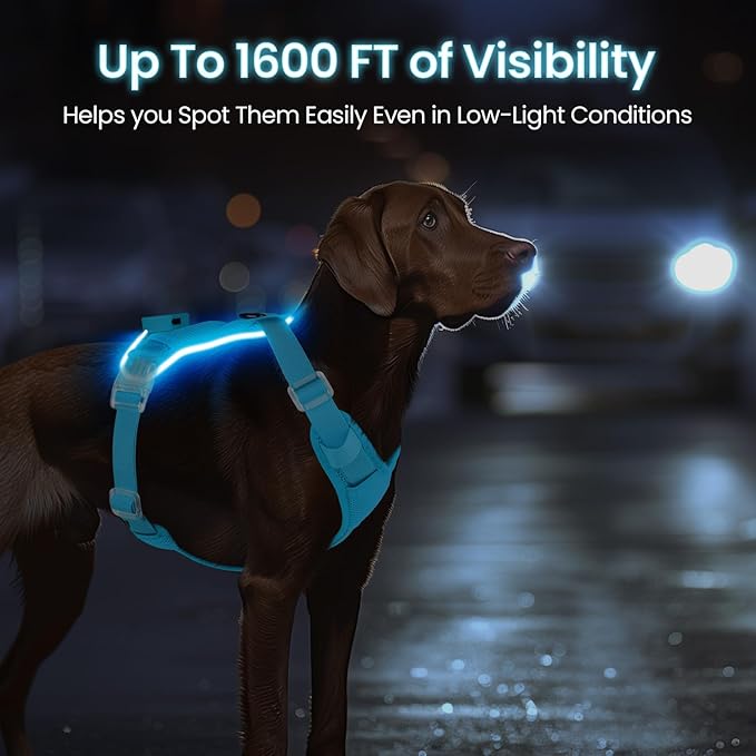 Light Up Dog Harness,Reflective Pet Harness Rechargeable,Led Dog Vest Harness for Night Walking,Adjustable Dog Safety Vest for Small Medium Large Dogs-No Pull,Blue,M