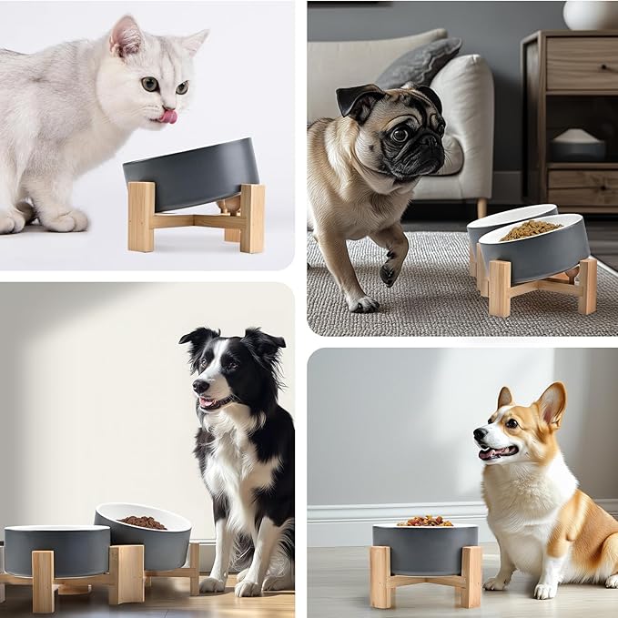 SPUNKYJUNKY 15° Slanted Ceramic Dog and Cat Bowl with Wooden Stand, Tilted Bulldog Food and Water Bowl No Slip Non-Spill for Cats Medium Dogs Big Face Pets 13.5 OZ (1.7 Cups, White-Grey × 2)