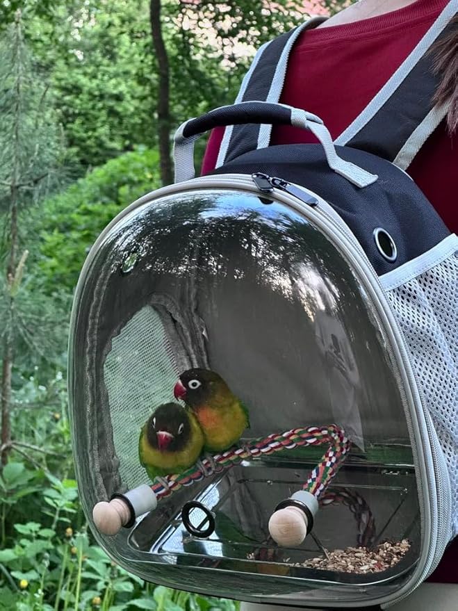 Small Bird Travel Backpack Carrier Cage, Backpack to Transport Backpack Carrier with Metal Tray Stand Perch for Parakeet Cockatiel Budgies Vet Carry Book Bag Black