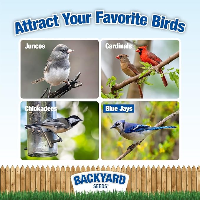 CountryMax Backyard Seeds 1984 Heritage Mix – Premium Bird Seed Blend with Black Oil Sunflower, White Millet & Cracked Corn – Wild Bird Food for Cardinals, Finches, Chickadees & More (14 Pounds)