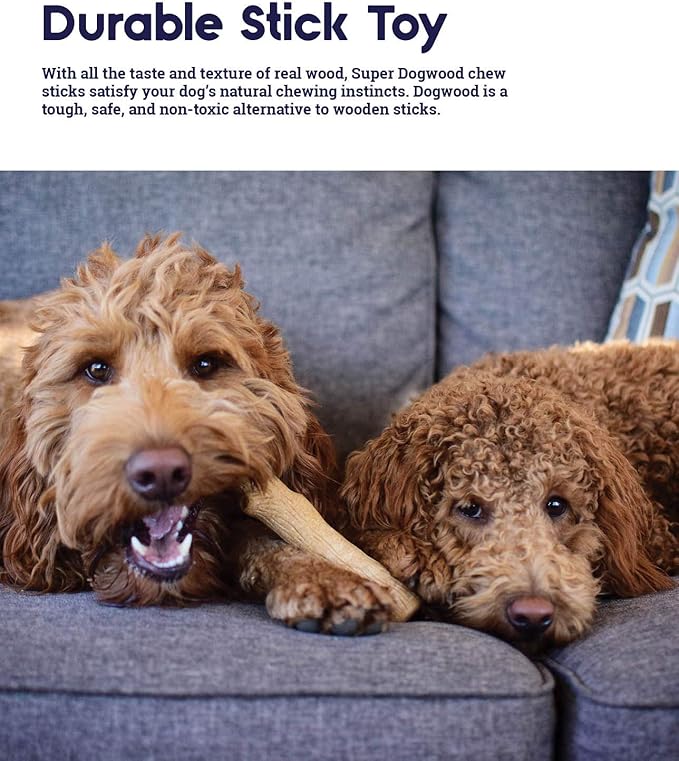 Petstages Outward Hound Super Dogwood Durable Dog Chew Toy, Small - Long Lasting Chew Sticks Made of Natural Wood - USA Made