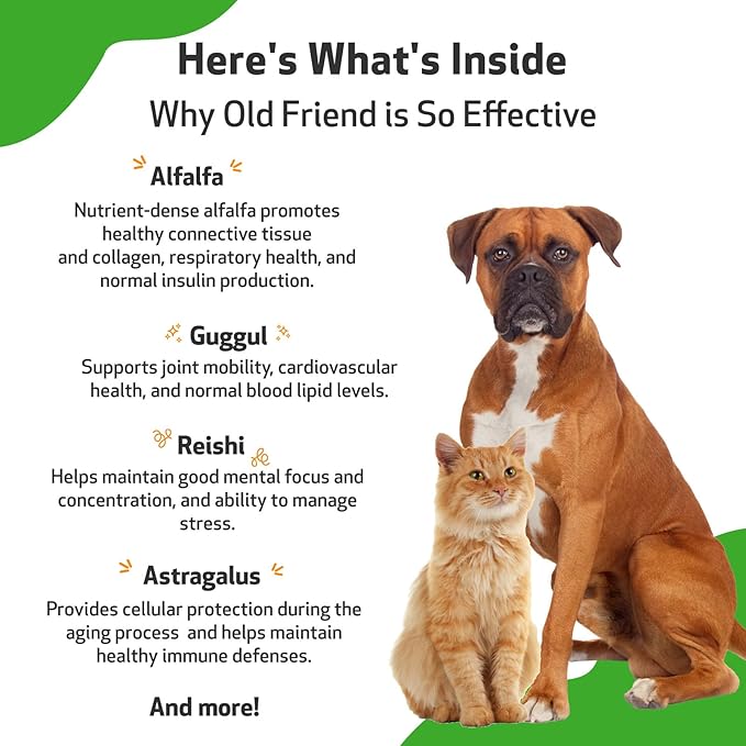 Pet Wellbeing Old Friend for Senior Dogs & Cats- Supports Immune System Health, Joint Mobility, Healthy Energy Levels, Alfalfa, Reishi - Veterinarian-Formulated Herbal Supplement 4 oz (118 ml)