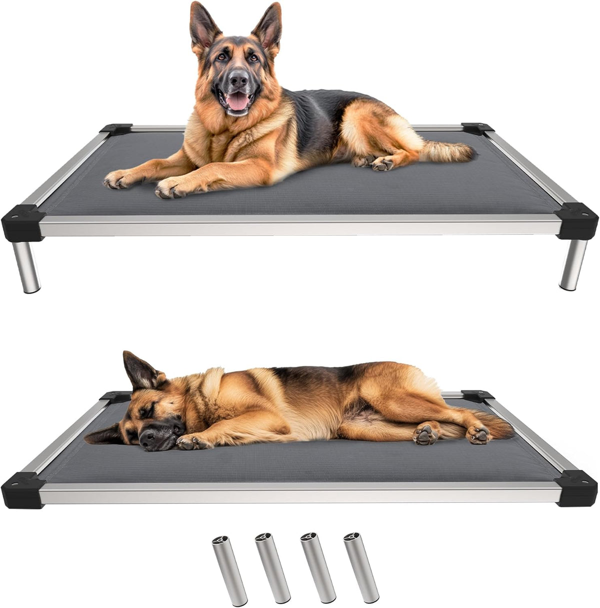 FXW TitanNest Chew-Proof Elevated Dog Bed, Raised Cot for Indoor/Outdoor/Camping Use, Durable & Washable Padded Pet Bed for Large Dogs, 47.0" L x 29.0" W x 7.3" H, Gray