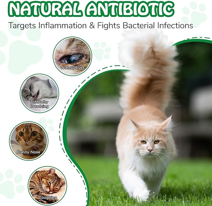 Antibiotics for Cats | Cat Antibiotics | Natural Antibiotics for Cats | Pet Antibiotics | Cat Itchy Skin Relief | Cat Allergy Relief | Cat Antibiotics for Skin Infection | 2 Fl Oz-Chicken Flavour