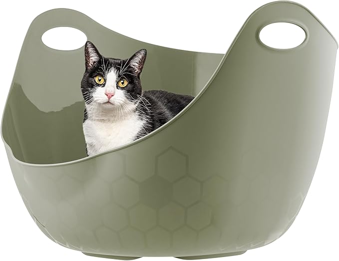 IRIS USA Cat Litter Box with High Walls and Handles, Made with Flexible Plastic, Sage Green