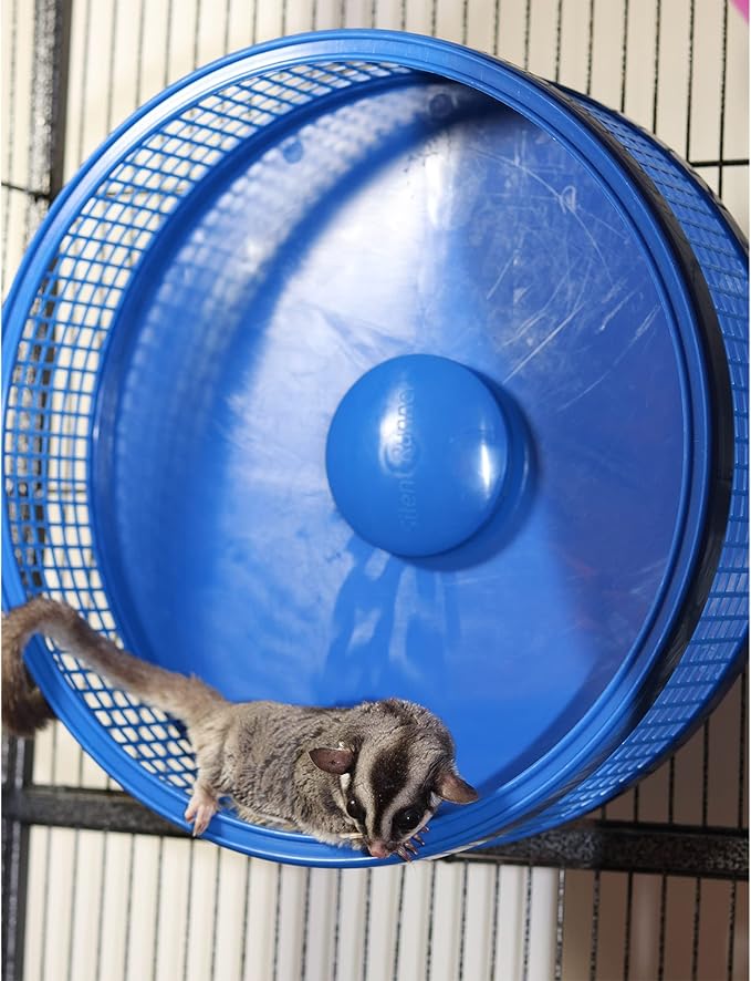 Silent Runner Pro | Sugar Glider Exercise Wheel (Blue with Stand)