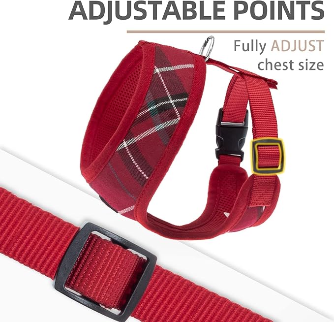 PUPTECK Soft Mesh Dog Harness and Leash Set Pet Puppy Cat Comfort Padded Vest No Pull Harnesses, Red, S