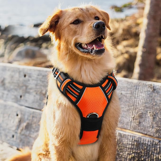 rabbitgoo Dog Harness for Large Dogs, No Pull Pet Vest with 3 Buckles, Adjustable Soft Padded Pet Harness with Easy Control Handle and Reflective Strips, Orange, XL