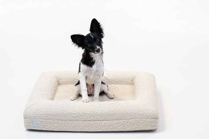 Luxury Boucle Orthopedic Memory Foam Dog Bed with Waterproof Liner and Machine Washable Cover with YKK Zippers (Small, 29" L x 23" W x 6" Th, Cloud)
