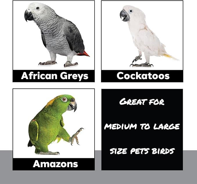 1410 Stainless Pot Delight from Parrots Cockatiels Conures Budgies Macaws Lovebirds African Greys Parrot Toys Stainless Foraging Chew Treat Noise-Making Fun Sensory Enrichment.