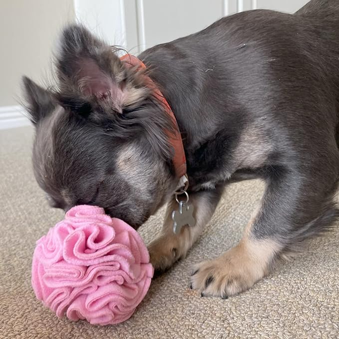 Puppy and Small Breed Snuffle Interactive Foraging Dog Puzzle Ball Toy Pink