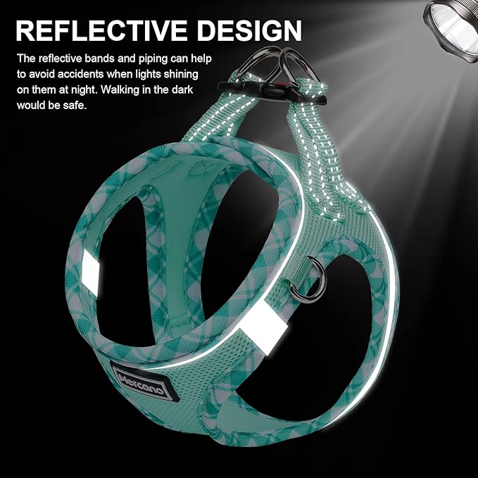 Mercano Soft Mesh Dog Harness and Leash Set, No-Chock Step-in Reflective Breathable Lightweight Easy Walk Vest Harnesses with Safety Buckle for Small Dogs, Cats (Light Green, XS)
