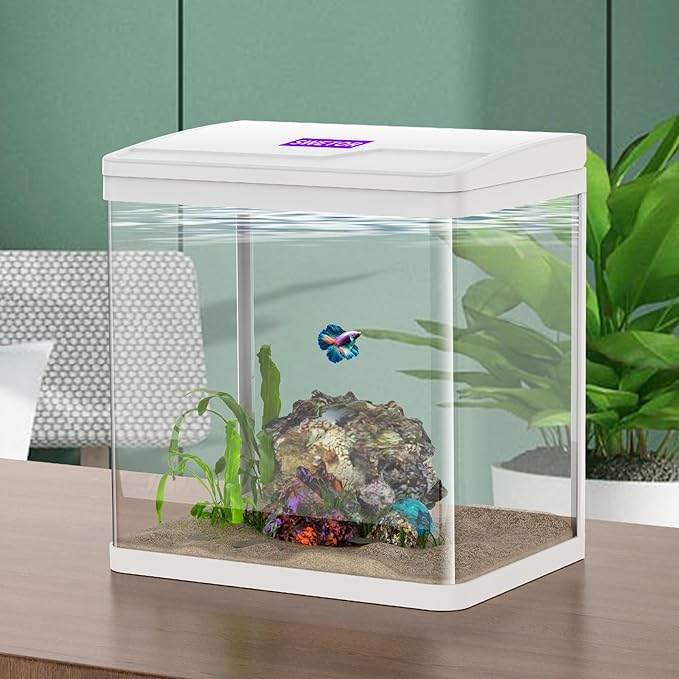 2 Gallon Glass Betta Fish Tank，Small Fish Tank with Filter and Light,Self-Cleaning Fish Tank.