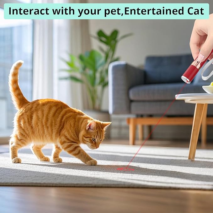 TBTeek Cat Toys for Indoor Cats, 2 Pieces, Rechargeable, 7 Adjustable Patterns, Interactive Kitten Pet Dog Chase Toy for Cats Fun Playing Exercise（Red）