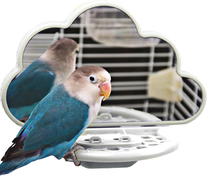 Bird Mirror with Perch & Slow Feeder – Interactive Bird Toy, Birds Cage Accessories for Parakeet, Budgies, Cockatiels, Conures, Lovebird, Finches & Canary – Relieve Boredom-White