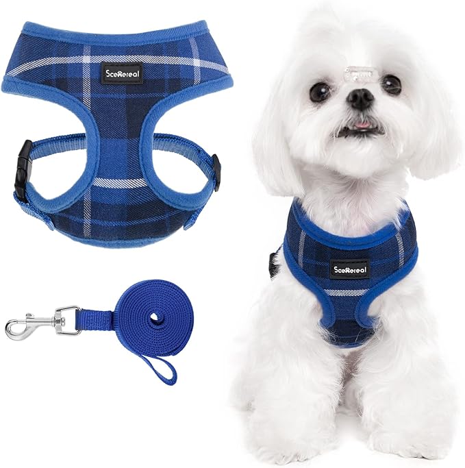 SCENEREAL Puppy Dog Harness with Leash Set for Small Medium Sized Dogs, Soft Mesh Step in Pet Harnesses and Leash, No Chock Plaid Adjustable No Pull Vest for Dogs Cats, Chihuahua,Bulldog (Blue XS)
