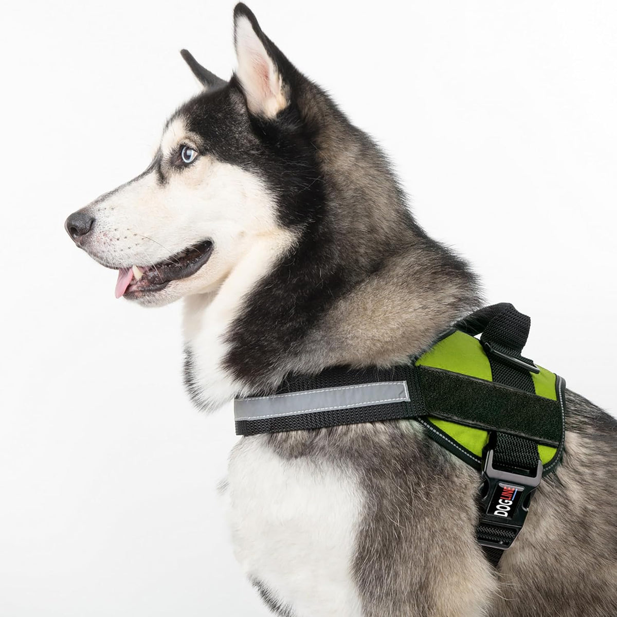 Dogline Dog Harness, Reflective No-Pull Adjustable Vest with Handle for Walking, Training, Breathable, No - Choke Harness for Small, Medium or Large Dogs Room for Patches Girth 27 to 34 in Lime Green