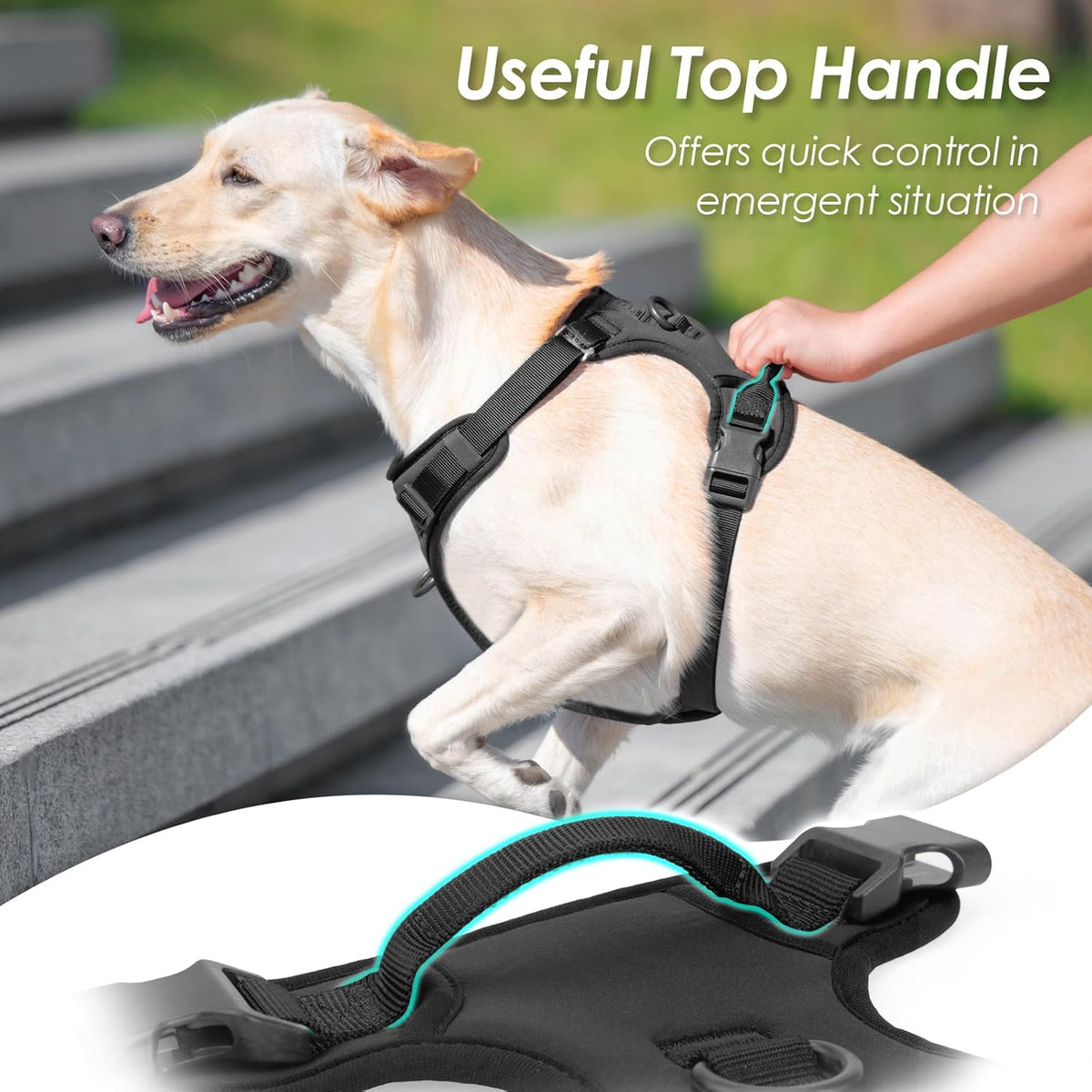 No Pull Dog Harness, Puppy Vest with Front Clip for Small Medium Large Sized Dog(Black,S)