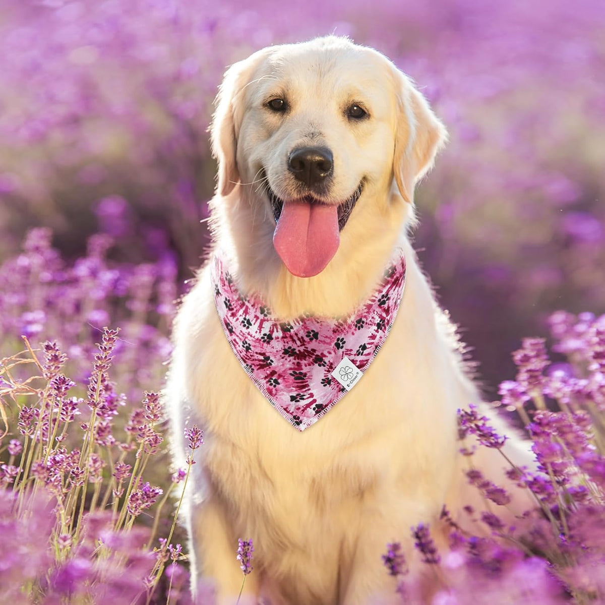 E-Clover Purple Dog Bandana & Matching Scrunchie Dog Paw Prints Pet Dog Scarf Cute Dog Costumes Accessories for Small Medium Large Dogs Lavender