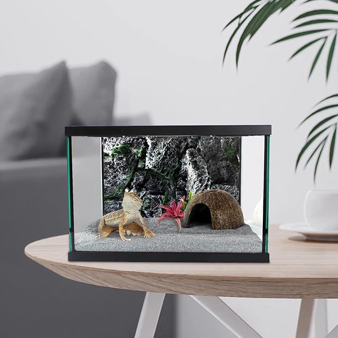 Reptile Glass Terrarium Tank 12 * 12 * 8" Full View with Top Ventilation, Amphibians Box Habitat Enclosure Cage for Frog,Spiders,Dubia Cockroach,Praying Mantis,Cricket,Tarantula,Hermit Crab