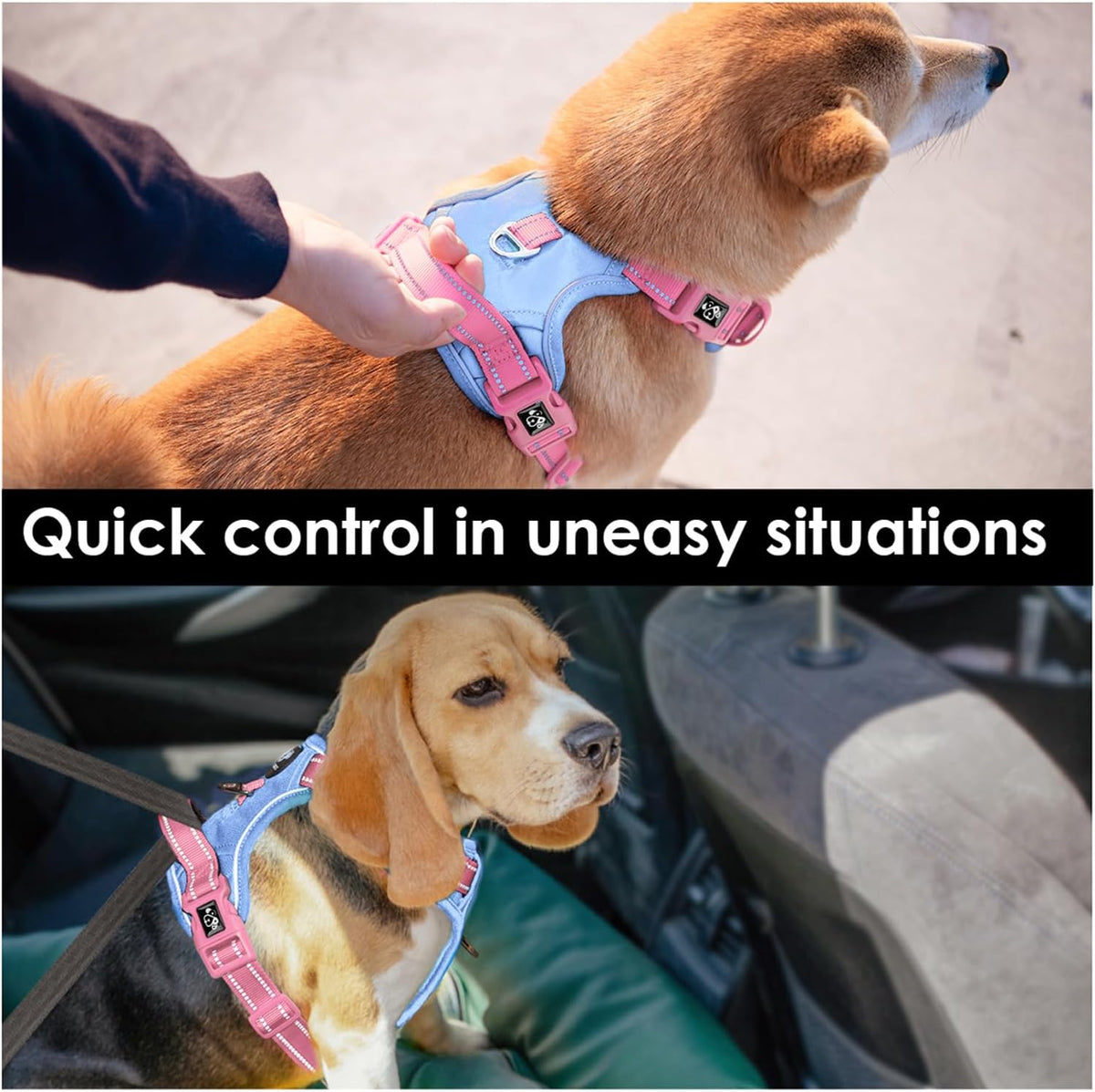 PHOEPET No Pull Dog Harness, Unique Colors Reflective Adjustable Dog Vest, with Soft Training Handle Metal Clips for Small Medium Large Dogs (Baby Blue Base & Pink Straps,L)