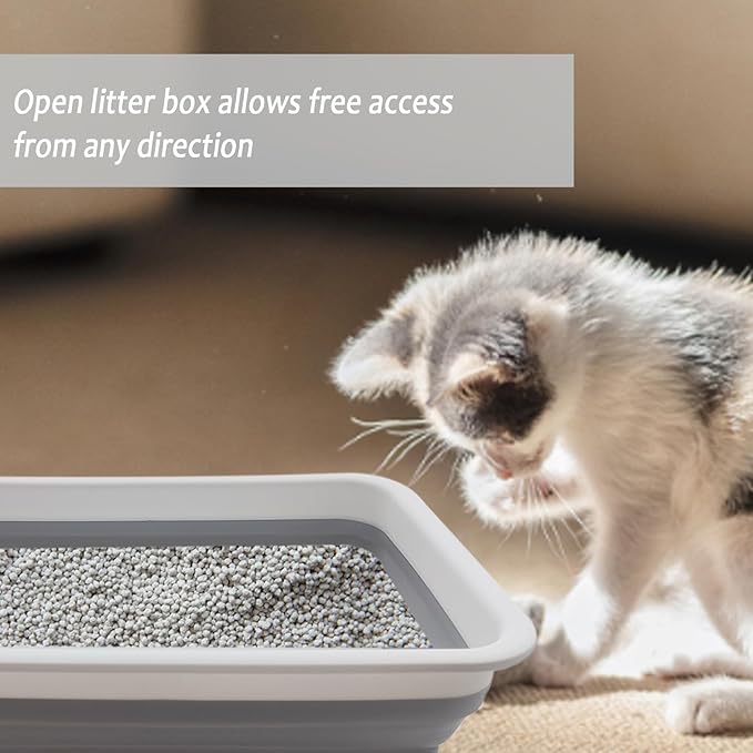 2 Pack Collapsible Small Cat Litter Box, Open Kitten Litter Potty Pan Low Entry Pet Kitty Toilet Foldable Waterproof Travel Toilet for Sick Frail Kitty 14.6 x 10.6 x 4.8 inches Grey