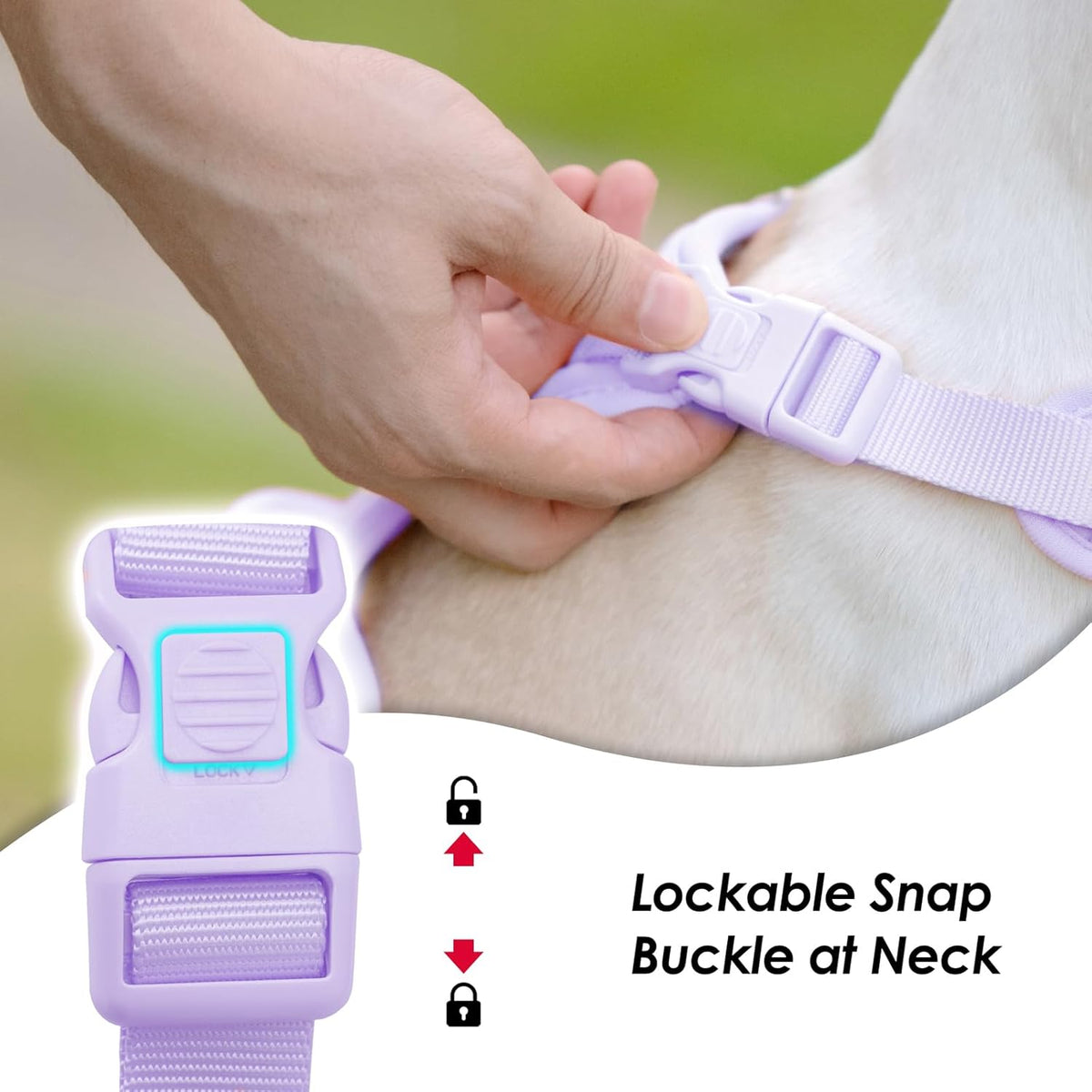 No Pull Dog Harness, Puppy Vest with Front Clip for Small Medium Large Sized Dog(Light Purple,M)