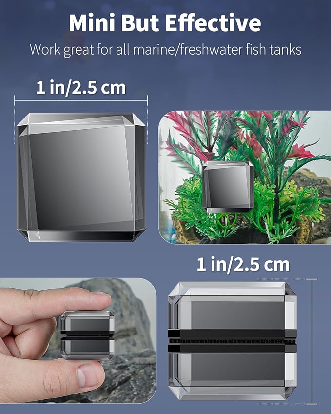 Pawfly Magnetic Aquarium Glass Cleaner 1 Inch Mini Aquarium Magnetic Brush Fish Tank Magnetic Glass Cleaner Small Stain Scrubber Brush Aquarium Cleaning Tool for 1/5 Inch Thick Glass (Non-Floatable)