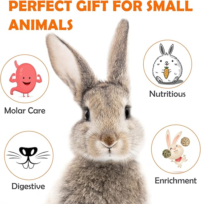 Sofier Timothy Hay Treats Rabbit Toys Bunny Toys Guinea Pig Hamster Natural Chews for Teeth Handmade Rabbit Chews and Treats Chinchilla Rat Gerbil