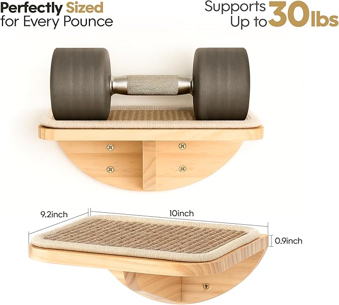 Cat Window Perches, Curved Cat Wall Sisal Mat Bed and 2 Floating Wall Steps, Wall Mounted Climbing Shelves for Sleeping, Playing, and Lounging