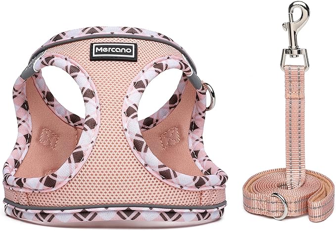 Mercano Soft Mesh Dog Harness and Leash Set, No-Chock Step-in Reflective Breathable Lightweight Easy Walk Vest Harnesses with Safety Buckle for Small Dogs, Cats (Champagne, XS)