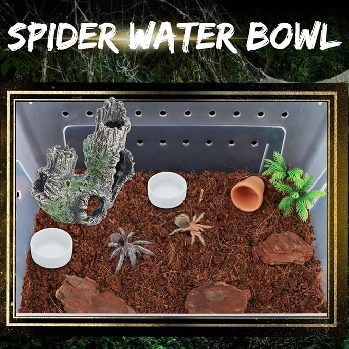 6 Pack Tarantula Ceramic Feeding Bowl Hermit Crab Water Bowl Spider Snail Insect Micro Food Dish (White, 1.25" D, 0.51" H)