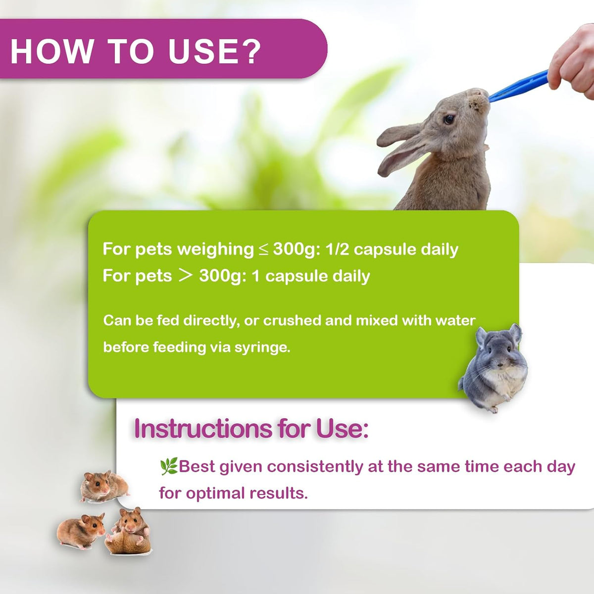 Digestive Support for Rabbits - High Fiber Probiotics, GI Stasis Prevention, Promote Gut Motility, Critical Care Herbivore Supplement, Rabbit & Guinea Pig Treats/Food, 36 Capsules