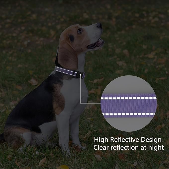 Reflective Dog Collar Padded with Soft Neoprene Breathable Quick Release Basic Dog Collars for Large Dogs Purple Girl