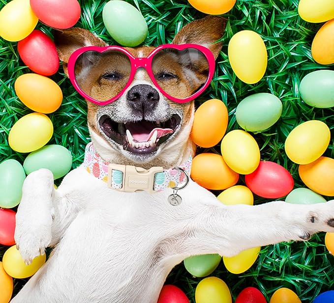 DOGWONG Easter Dog Collar, Colorful Egg Dog Collar Soft Durable Adjustable Costume Cute Easter Puppy Collar for Small Medium Large Dog