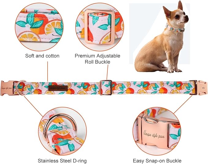 Unique style paws Dog Collar Metal Buckle Orange Collar Gift Durable Cute Collar for Small Medium Large Boys Girls Dogs