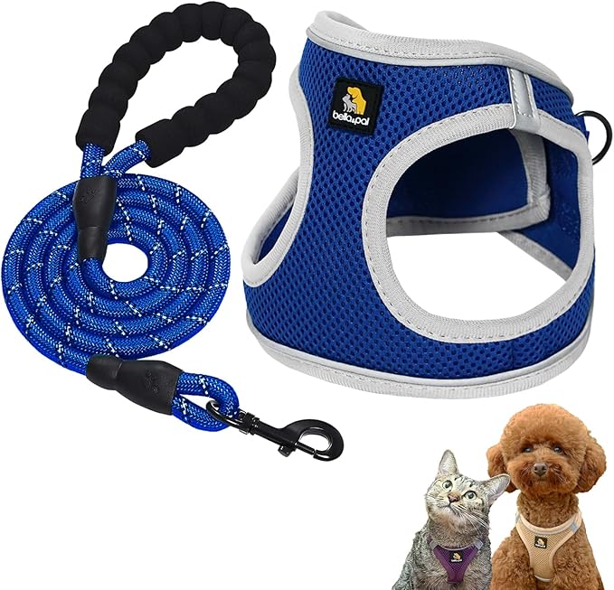 BELLA & PAL Step in Vest Harness for Small and Medium Dogs, No Pull Small Dog Harness with Leash Set, Comfortable Air Mesh Dog Vest Harness with Reflective Strip (Sapphire(Round Rope), XXS)