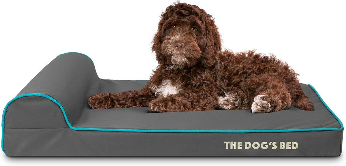 The Dog’s Bed Orthopedic Headrest Dog Bed Med Grey/Blue 34x22, Memory Foam, Pain Relief: Arthritis, Hip & Elbow Dysplasia, Post Surgery, Lameness, Veterinary Approved, Waterproof Washable Cover