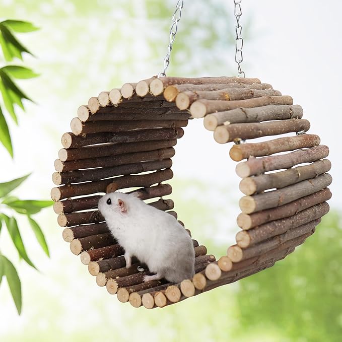 Bird Parrot Swing Toys, Hanging Bird Tree Caves, Natural Apple Wood Parrot Hammock, Bird Cage Accessories, Suitable for Little Bird Parakeets Cockatiels Lovebirds Hamster Rat (6.49" in Diameter)
