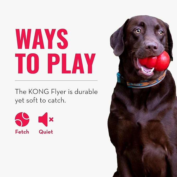 KONG Flyer - Durable Dog Toy for Outdoor Playtime - Natural Rubber Flying Disc, Dog Toy for Fetch - Safer Disc for Healthy Activity - for Small Dogs (Pack of 2)