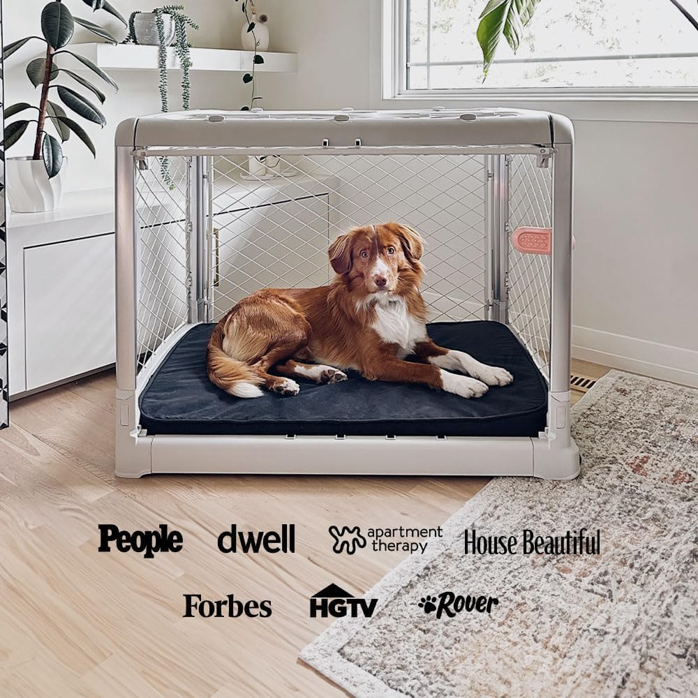 DIGGS Revol Collapsible Dog Crate with Wheels - Premium Portable Dog Crate - Safe, Stylish, and Convenient Indoor Kennel (Smoke, Intermediate)