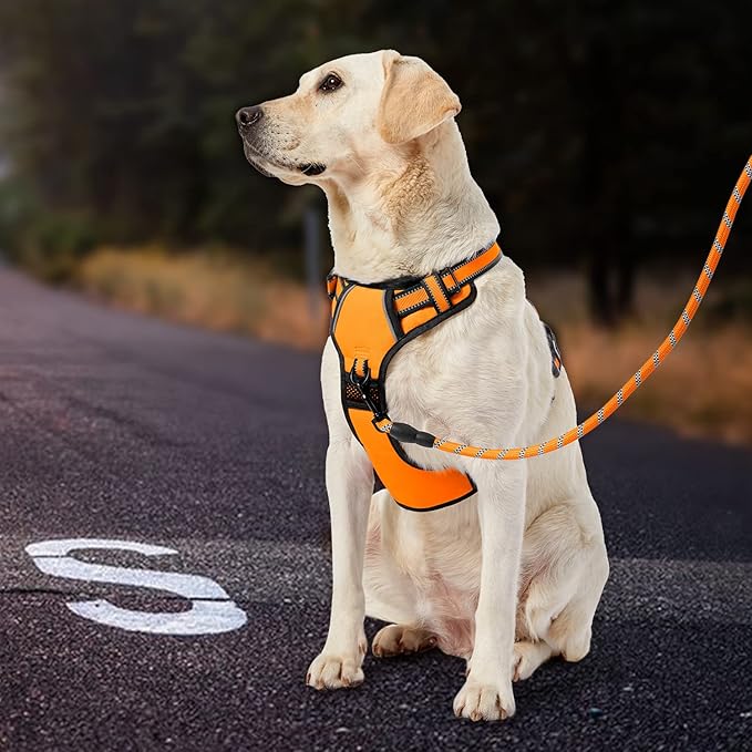 IVY&LANE No Pull Dog Harness for Medium Dogs, Dog Vest Harness with Leash, Safety Belt and Storage Strap, Fully Adjustable Harness, 360° Reflective Strip, Soft Handle (Orange, M)