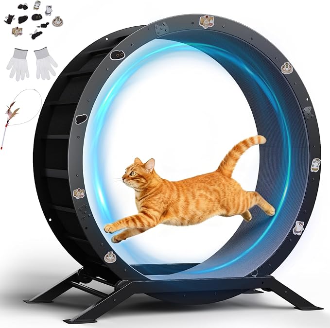 GTPLAYER Cat Wheels, Large Cat Exercise Wheel for Indoor Cats, 40"Diameter cat treadmill Detachable Carpet & Teaser, stickers, Ultra-quiet scroll wheel With latch, Suitable for Most Cats, Metal, Black