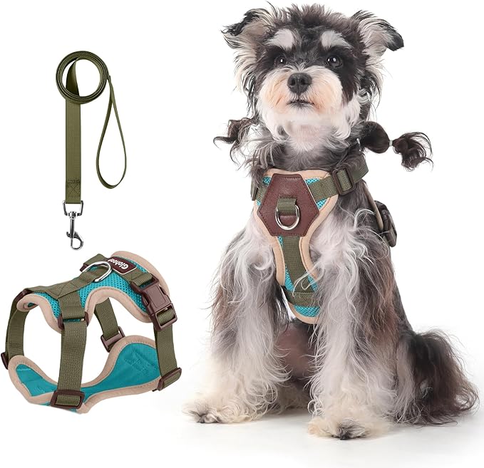 Small Dog Harness and Leash Set, Breathable Mesh Puppy Harness, Adjustable Dog Harness for Small Medium Large Dogs, No-Pull Pet Harness for Daily Walking (Lakeblue, X-Large)