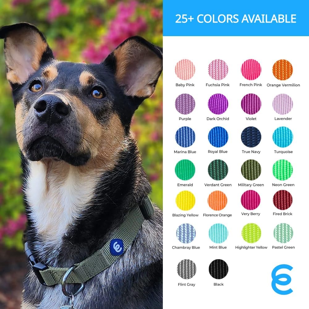 Blueberry Pet Essentials Matching Large Dog Collar | Adjustable Classic Solid Color Nylon Dog Collars for Large Dogs | Marinara Blue Dog Collar for Large Dogs